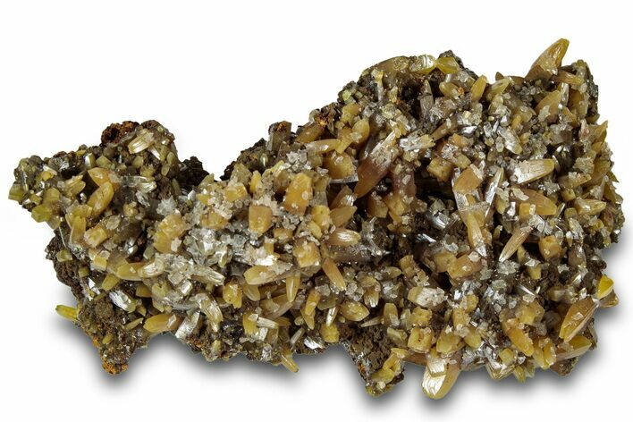 Pyramidal Wulfenite Crystals On Matrix - Ojuela Mine, Mexico #318951